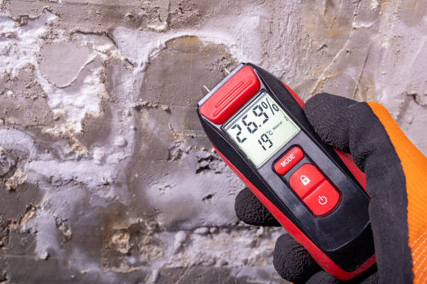 Best Certified Mold Removal  in West Point, UT