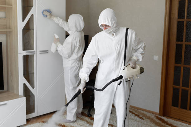Attic Mold Removal in West Point, UT
