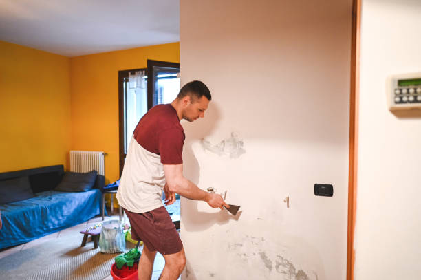 West Point, UT Mold Removal Company