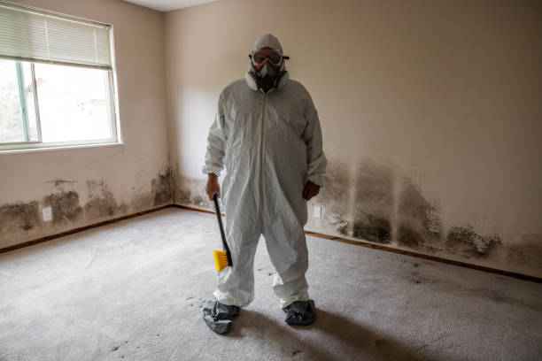West Point, UT Mold Removal Company